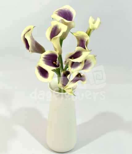 mini calla purple&cream