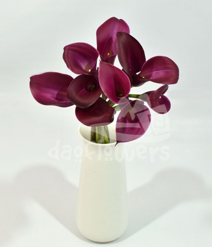 mini calla purple