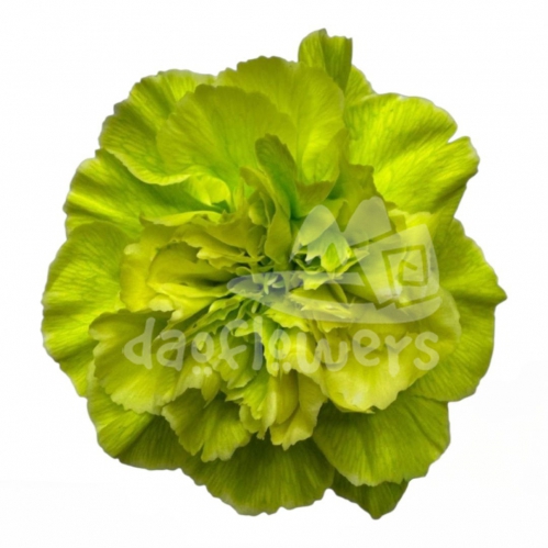 Emerald PNT