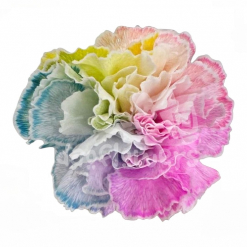 Rainbow Pastel PNT