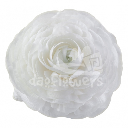 elegance Bianco Signature