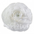 elegance Bianco Standard