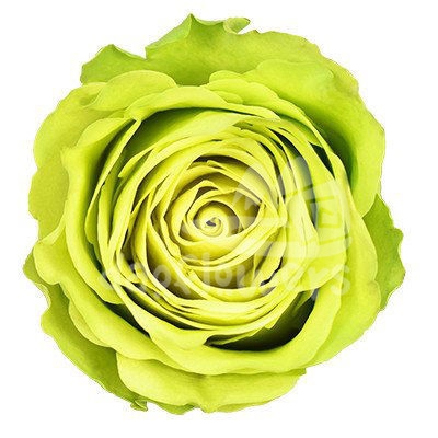 green generation