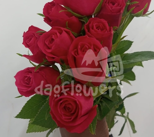 sweet cerise