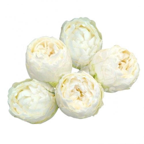 mansfield park white*