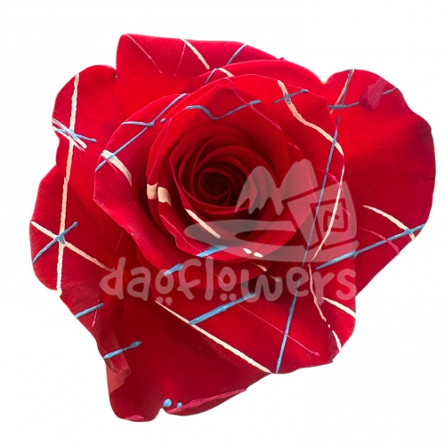 Red Confetti PNT