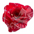 Red Confetti PNT